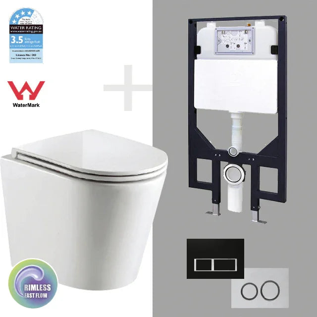 wall hung toilet