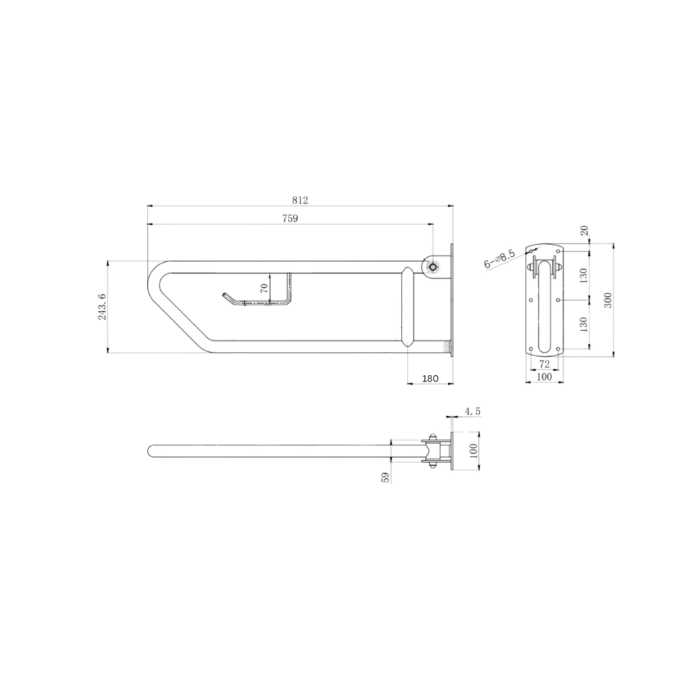 Click-Lock Pull Down Grab Rail with Toilet Roll Holder in Polished Stainless Steel - MLR55_TPH_PSS