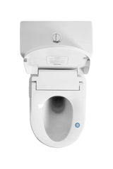 ZM Care Smart Toilet Bidet Seat with Remote Control & Shortcut Buttons