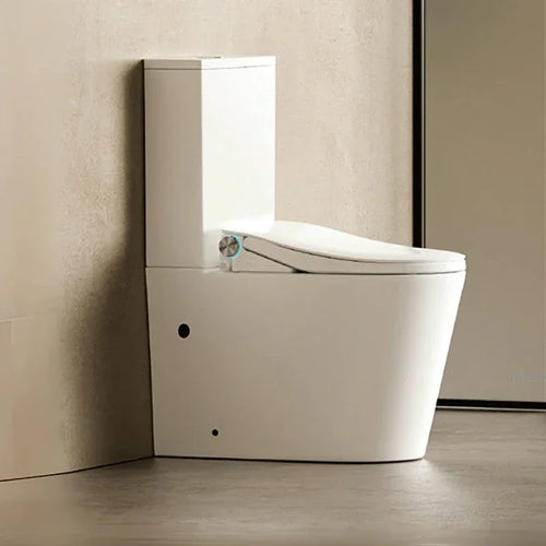Back to Wall Toilets