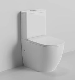 Back to Wall Toilet