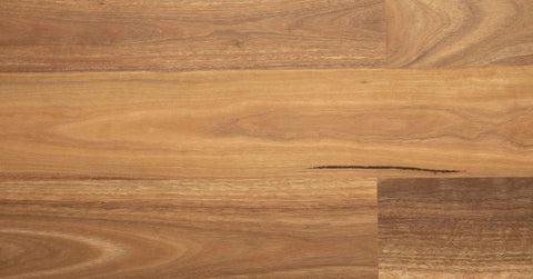 Spotted Gum 18mm solidTimber Flooring