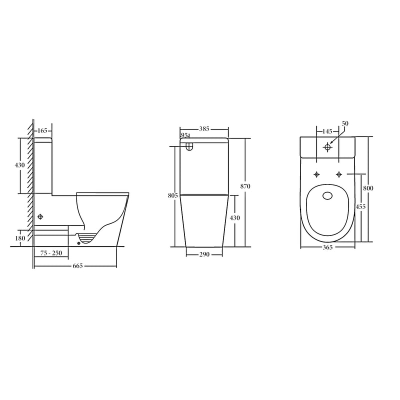 Raised Height Accessible Disabled Back To Wall Rimless Nano Glazed Toilet Suite with Soft Close Seat - White (4 Star)