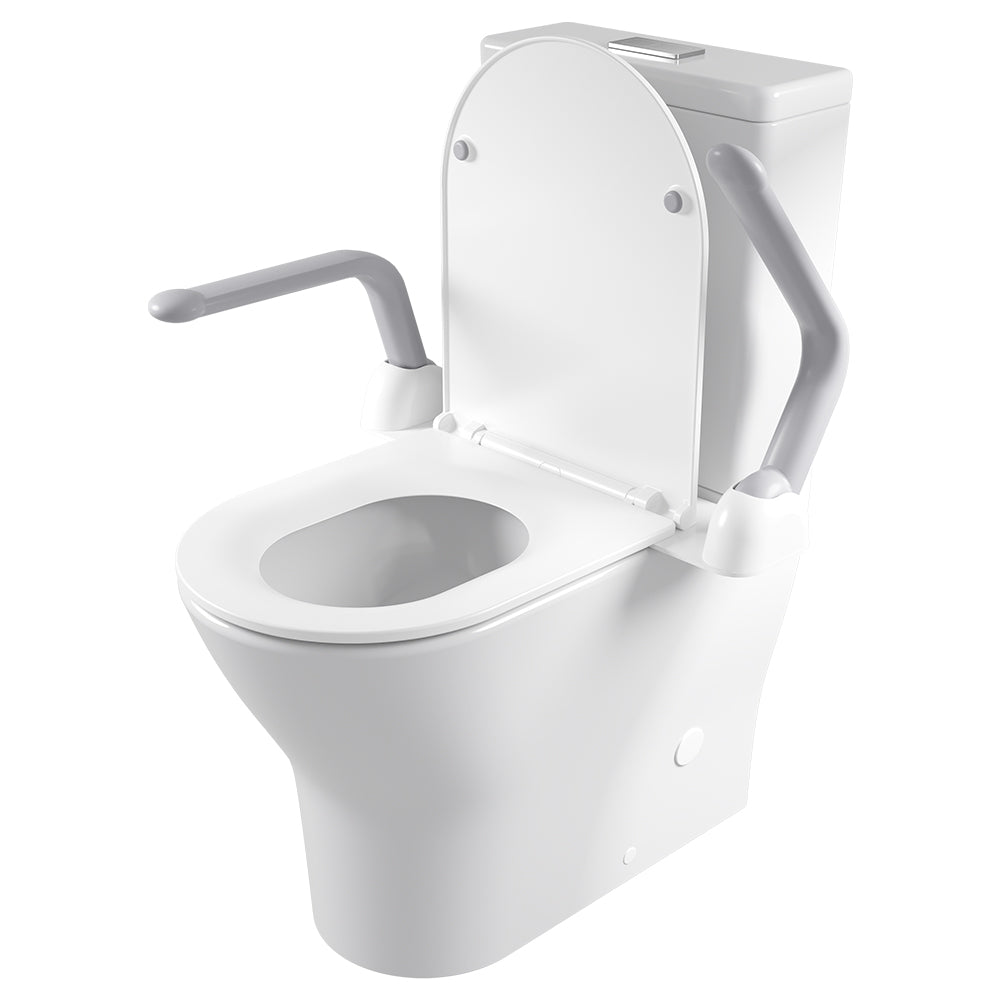 Toilet Support Arm for sitting and standing