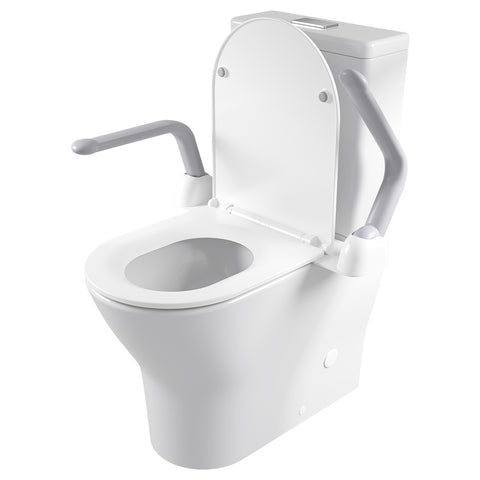 Toilet Support Arm for sitting and standing