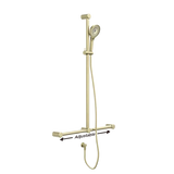Mecca Care T Bar Grab Rail and Adjustable Rail Shower - Various Colours