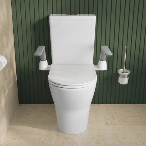 Toilet Support Arm for sitting and standing