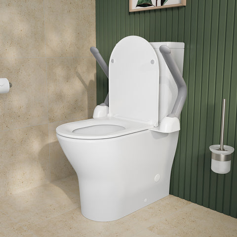 Toilet Support Arm for sitting and standing