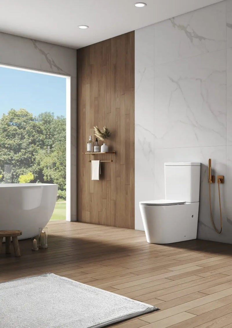 ZM Back To Wall Rimless Flush Toilet Suite with Soft Close Seat - White