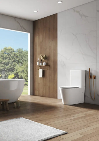 ZM Back To Wall Rimless Flush Toilet Suite with Soft Close Seat - White