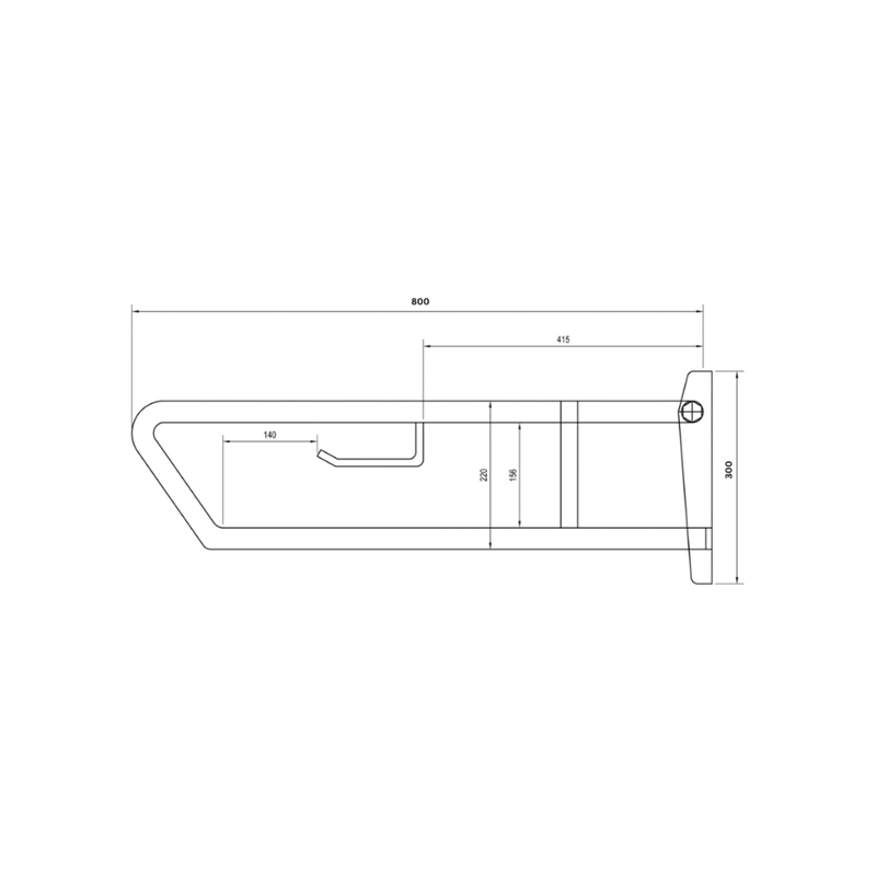 Pull Down Grab Rail with Toilet Roll Holder - Peened - MLR55_TPH_PEEN