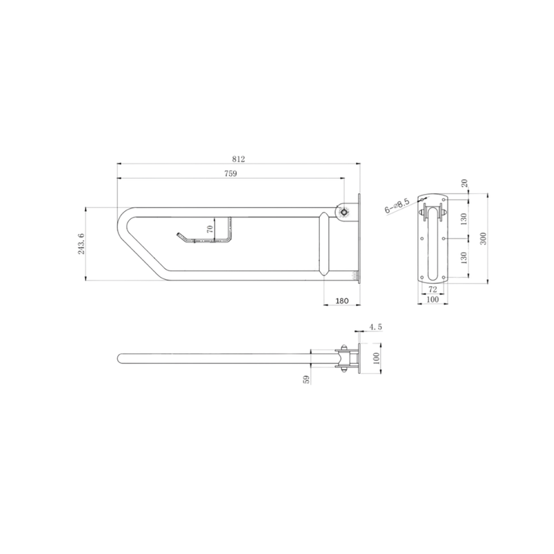 Click-Lock Pull Down Grab Rail with Toilet Roll Holder in Polished Stainless Steel - MLR55_TPH_PSS