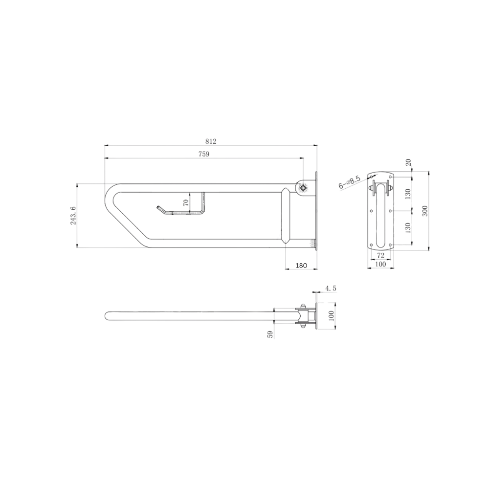 Click-Lock Pull Down Grab Rail with Toilet Roll Holder in Satin Stainless Steel - MLR55_TPH_SS