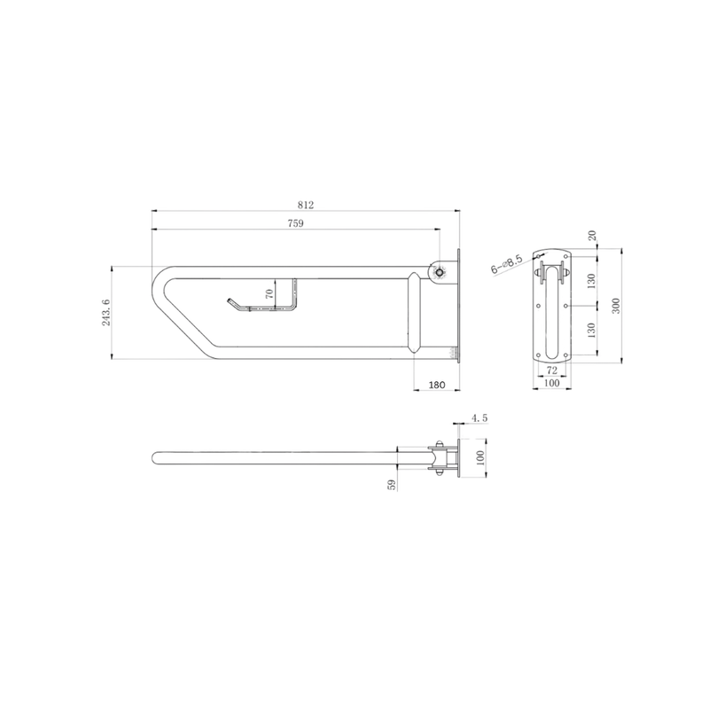 Click-Lock Pull Down Grab Rail with Toilet Roll Holder in Satin Stainless Steel - MLR55_TPH_SS