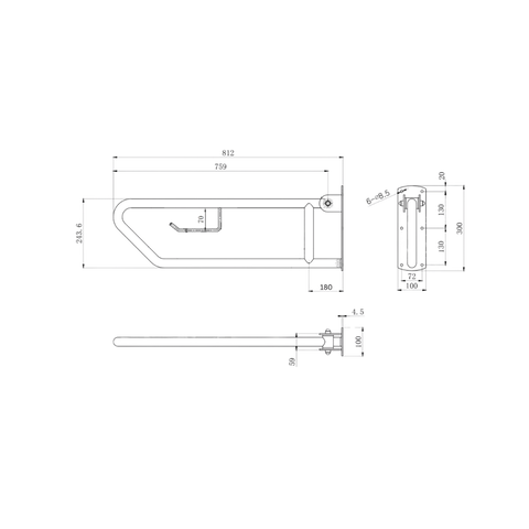 Click-Lock Pull Down Grab Rail with Toilet Roll Holder in Satin Stainless Steel - MLR55_TPH_SS