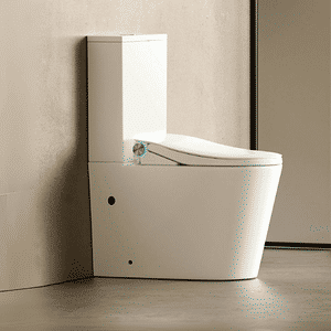 Smart Toilets