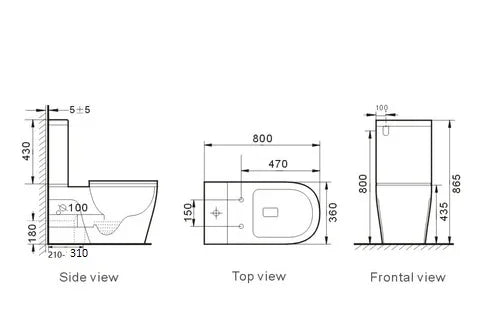Raised Height Accessible Disabled Back To Wall Rimless Toilet Suite with Soft Close Seat - White (4 Star)