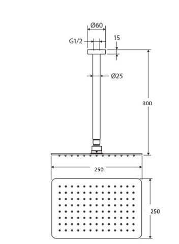 Square Ceiling Shower with Overhead Shower Head 250mm- Various Colours
