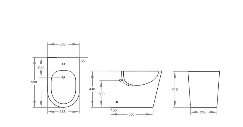 Back to Wall Bidet