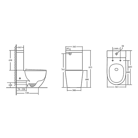 Curved Back To Wall Rimless Flush Toilet Suite with Soft Close Seat - White (Project)